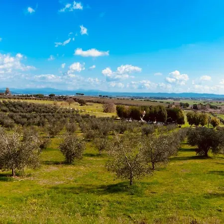 Agricampeggio La Piaggia - Agriturismo-2